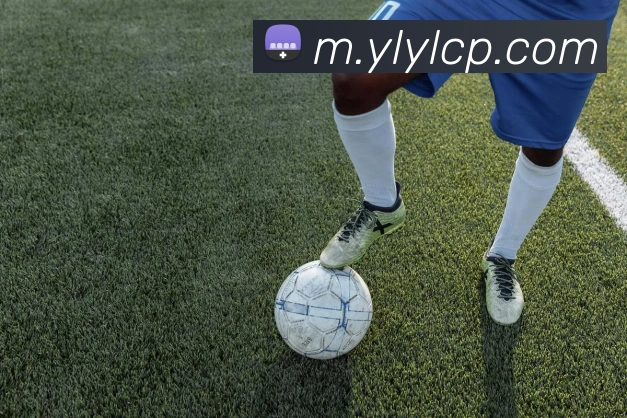 登录器
